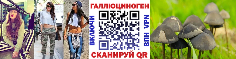 кракен ссылки  Любань  Псилоцибиновые грибы Cubensis 